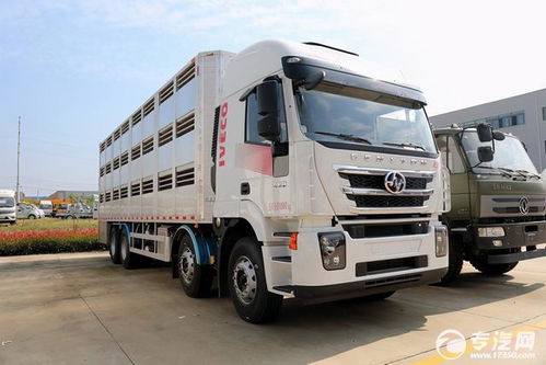 上汽红岩前四后八国六铝合金畜禽运输车核心优势解析